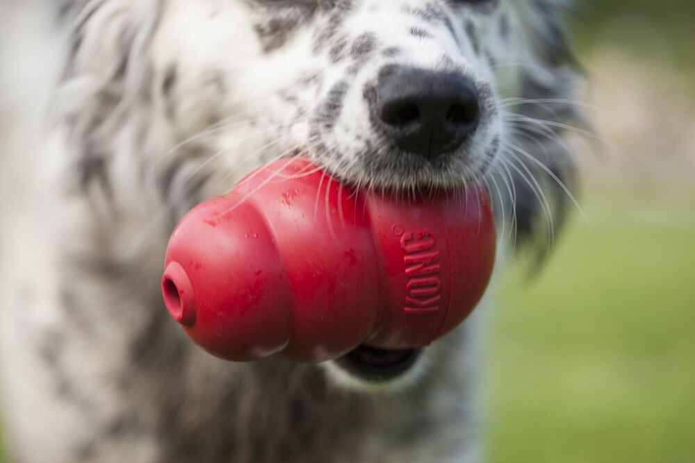 Kong Classic - Vulbaar Hondenspeelgoed - rood - 10x6.5x6.5 cm - L