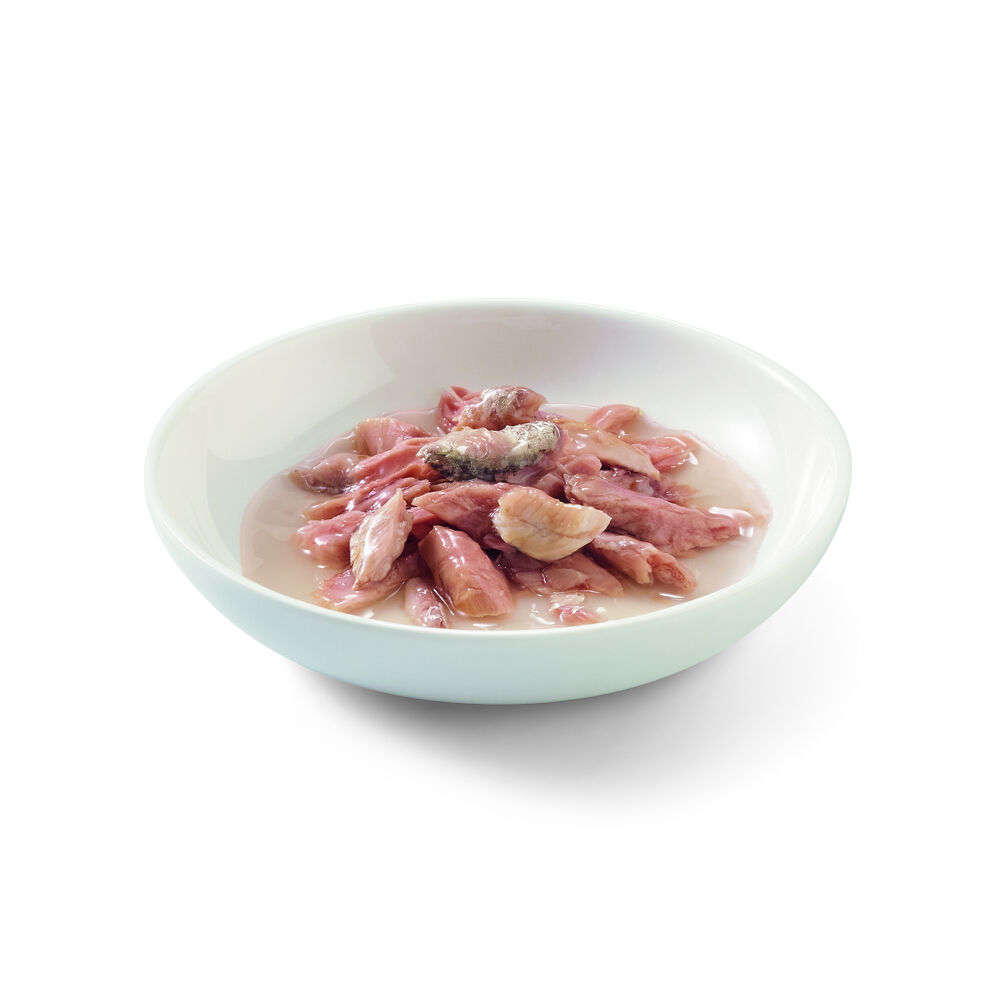 SCHESIR Tonijn met Runderfilet 85G :: Kat :: Kattenvoer en Snacks