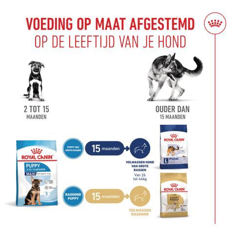 Royal Canin Maxi Puppy - Hondenvoer - 3 Kilogram - gevogelte