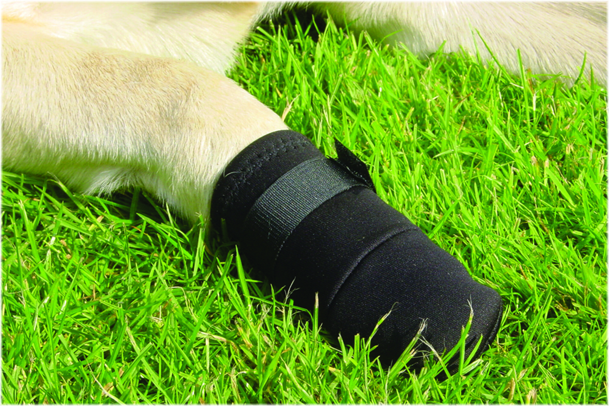 Beeztees - Beschermingsschoen Hond - 2 Stuks - Zwart - L