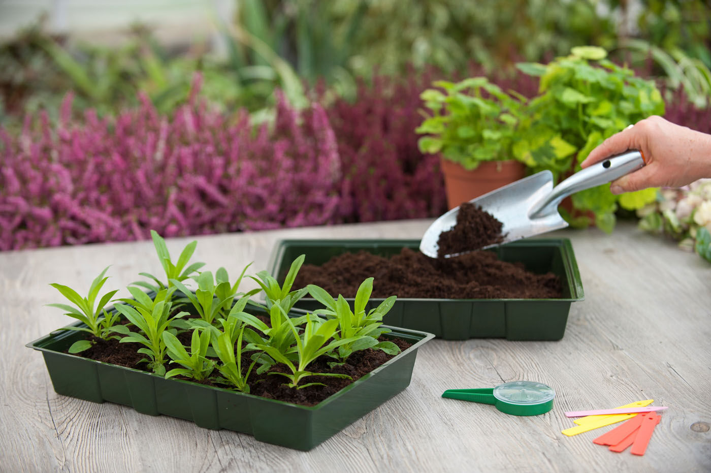 Nature Kweektrays 5 stuks - Groen - 35x23.7x6.5 cm