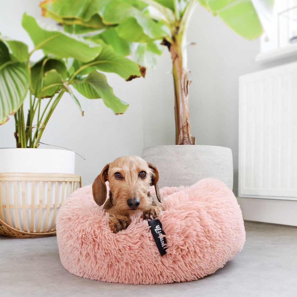 District 70 FUZZ - Hondenmand - roze - XL