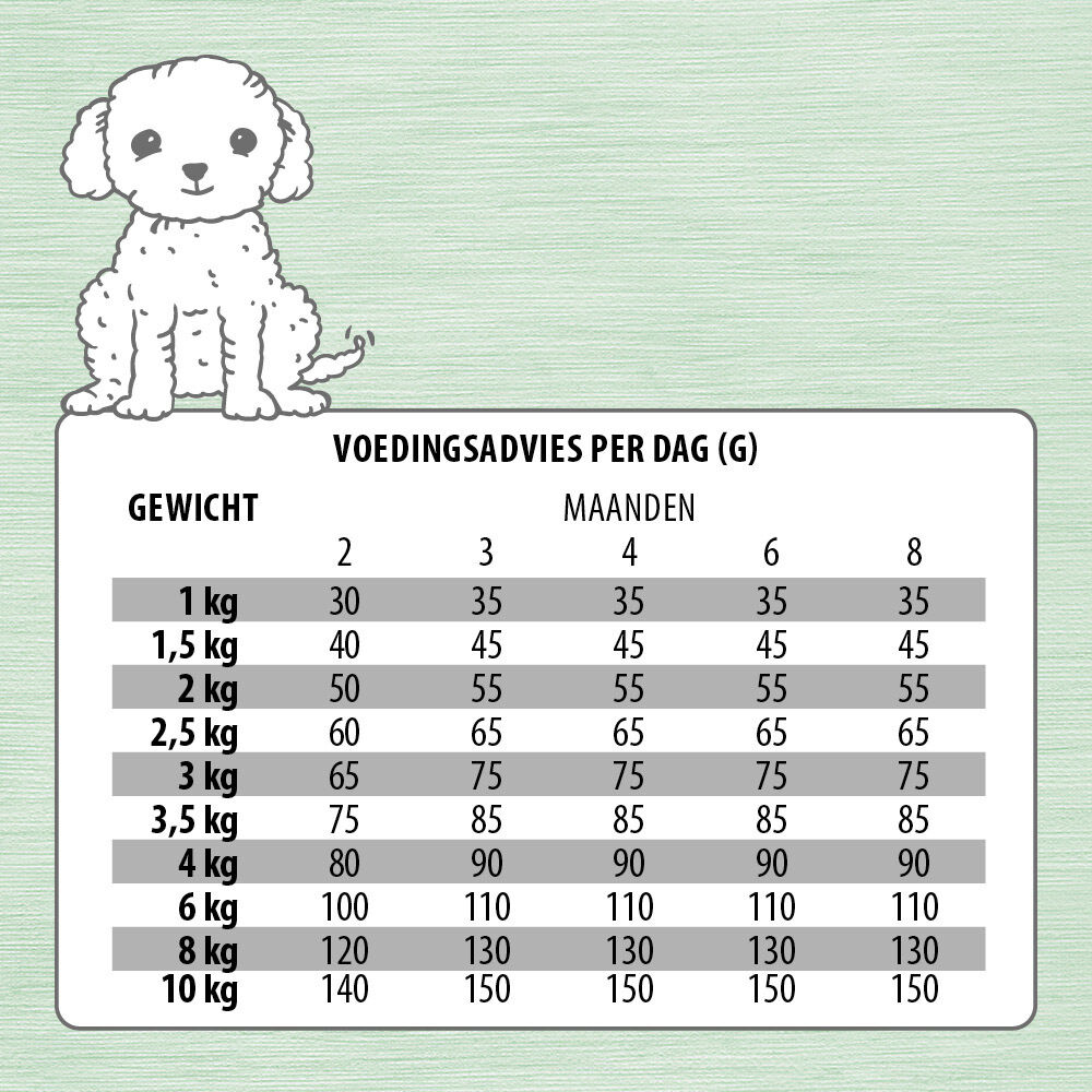 Jarco Dog Mini Pup - Hondenvoer - 1.75 Kilogram - eend