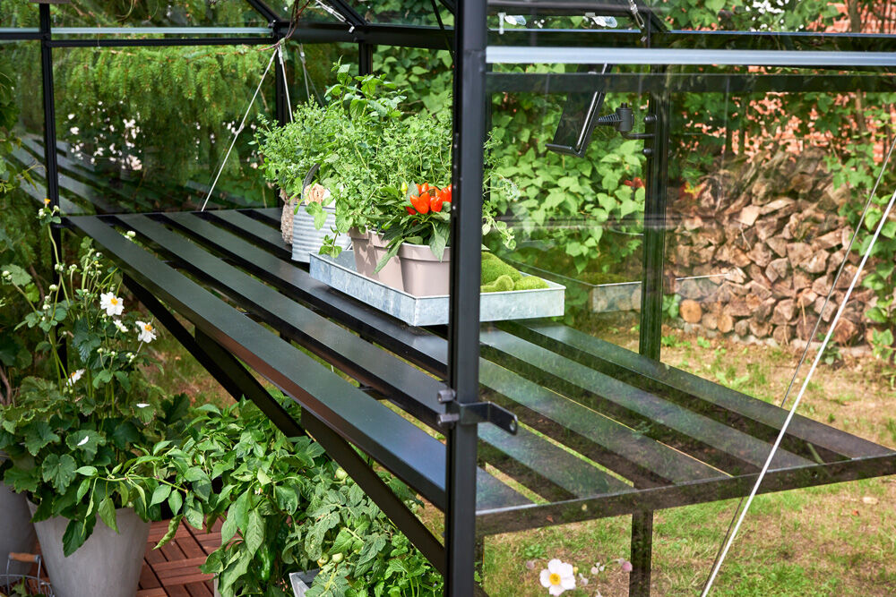 HALLS Qube 816 - Kweektafel