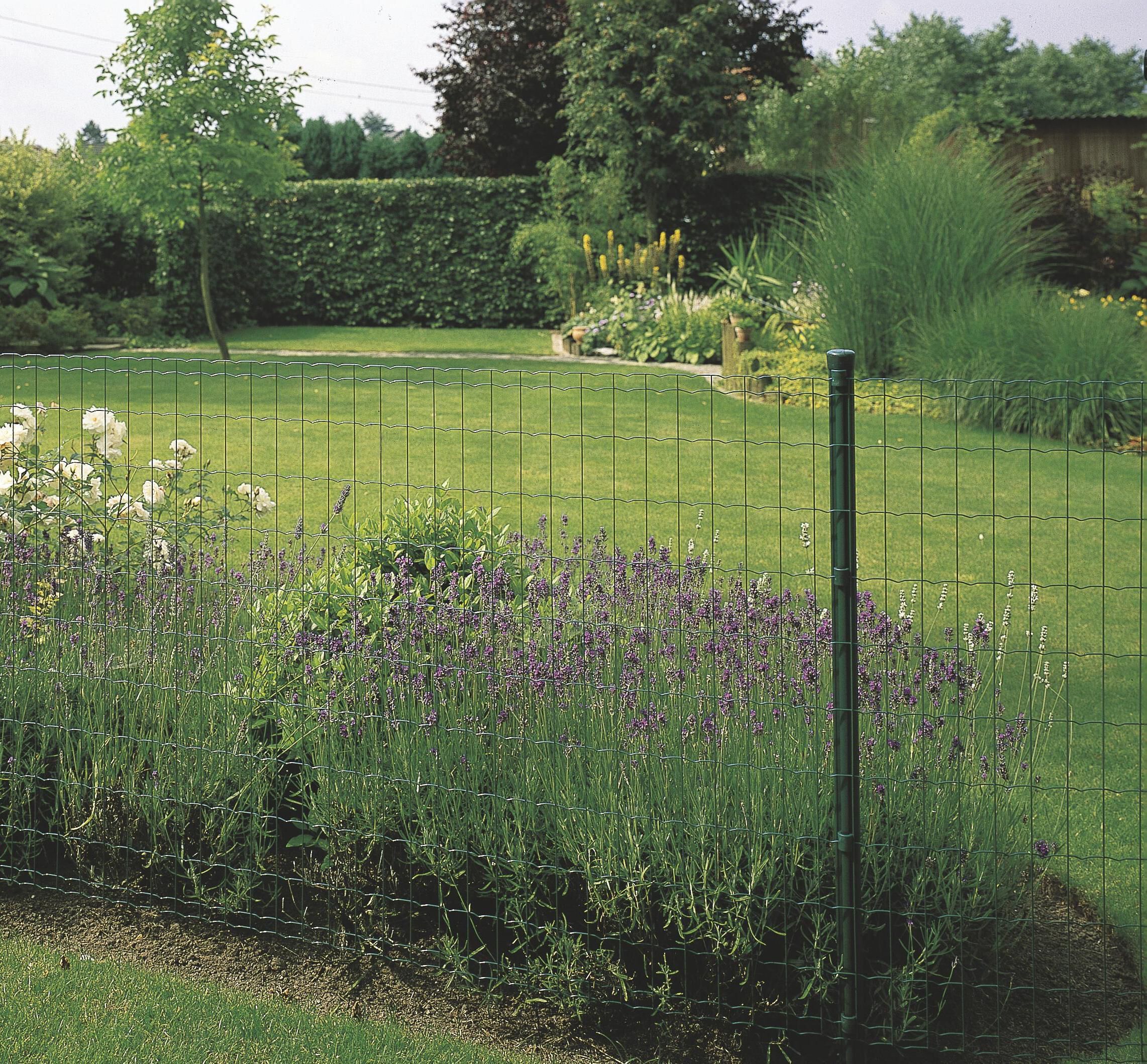 Betafence - Pantanet Family - Gelast tuingaas - Groen - 81 cm - 82x36x36 cm - 250 cm