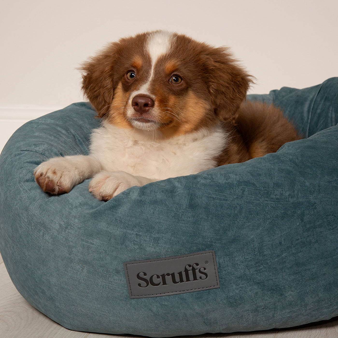 Scruffs Oslo Ring Bed - Hondenmand - turquiose - 2XL