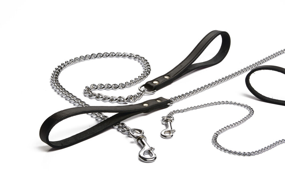 Beeztees  - Kettinglijn Hond