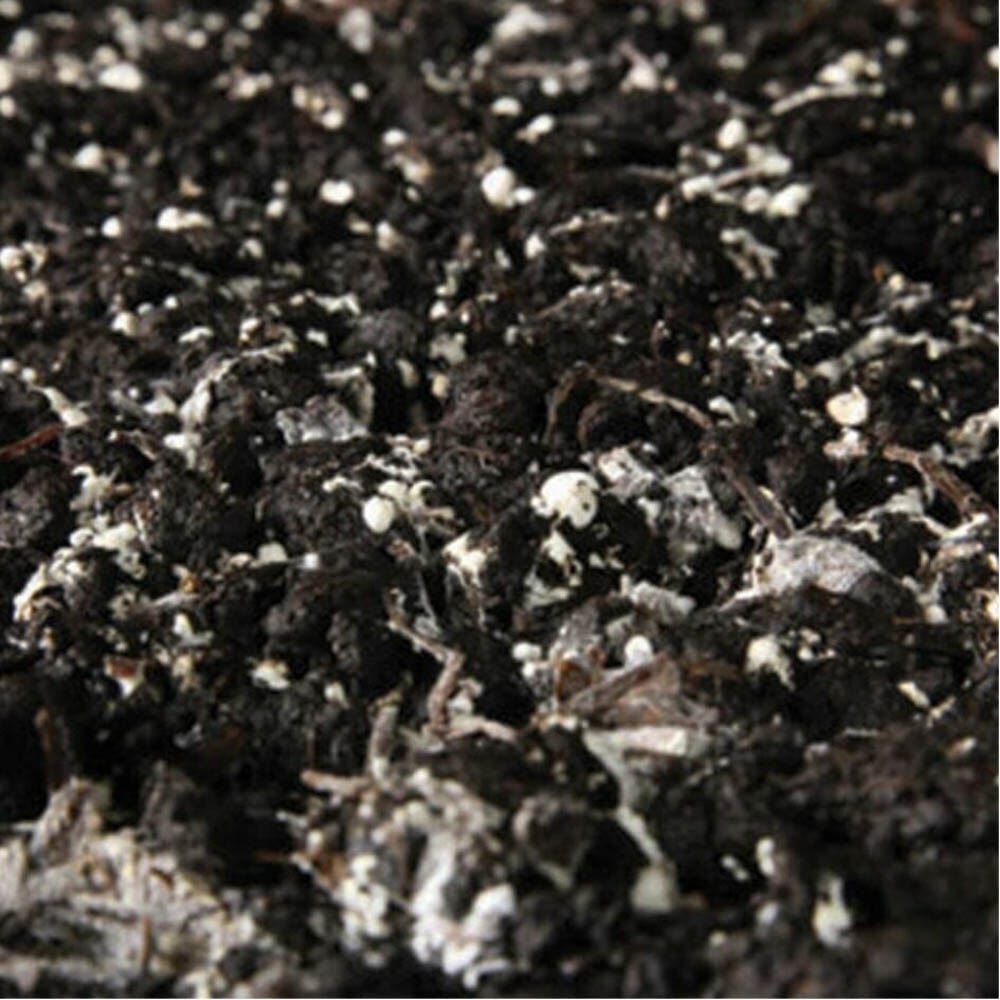 BigBag - Champost 1m³