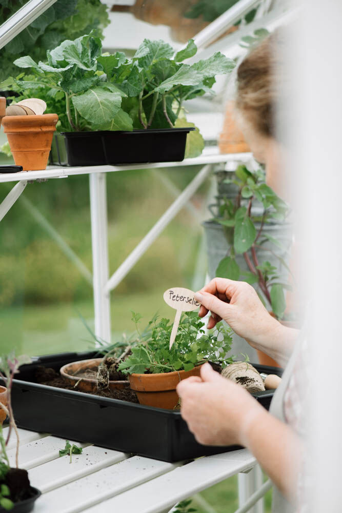 Royal Well Mary III - Kweekschap - Wit - 2.5x22.5x347 cm Royal Well Mary III - Kweekschap - Wit - 2.5x22.5x347 cm