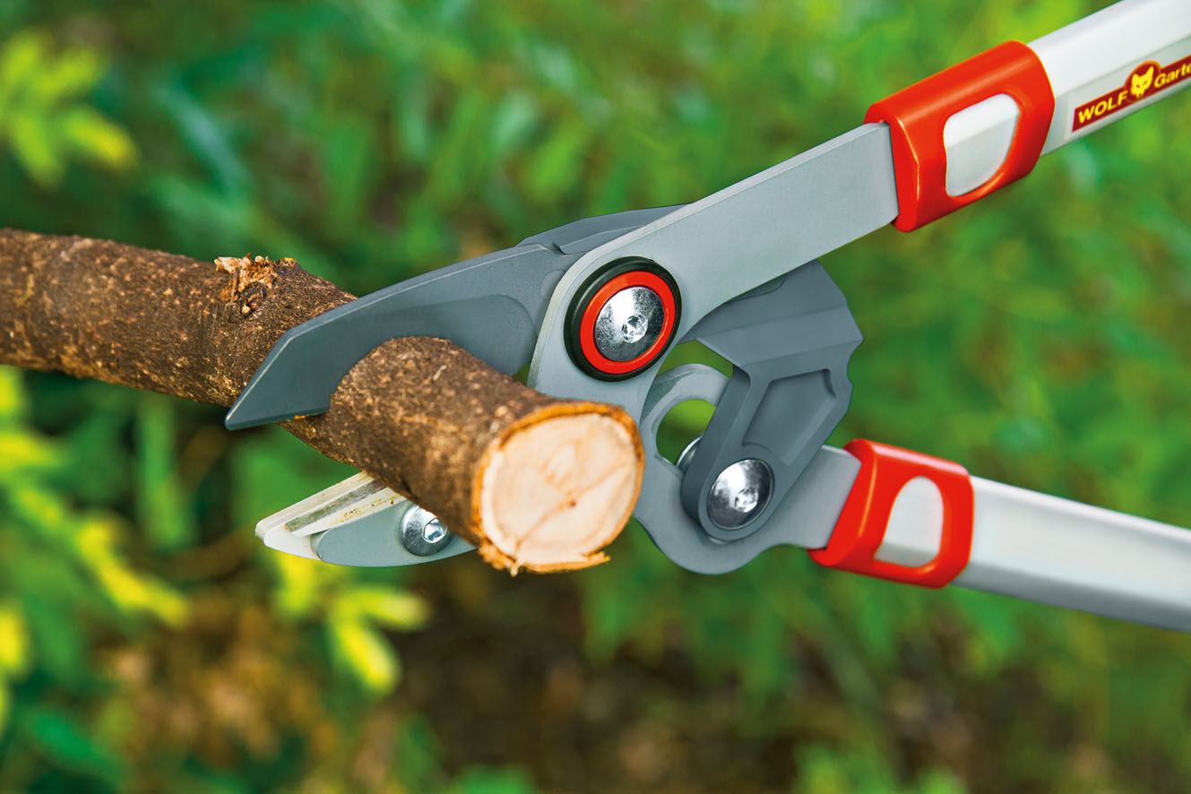 WOLF-Garten RS 750 Comfort Plus - Aambeeld Takkenschaar