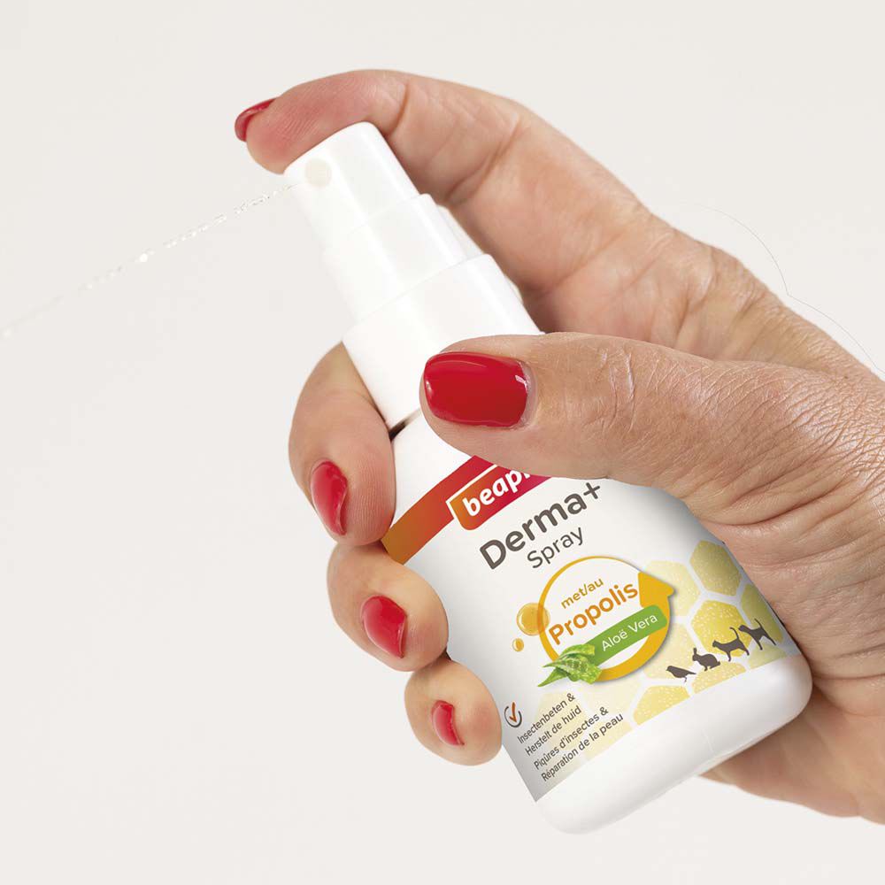 Beaphar Derma+ spray - Wondverzorging Hond - 75 Milliliter