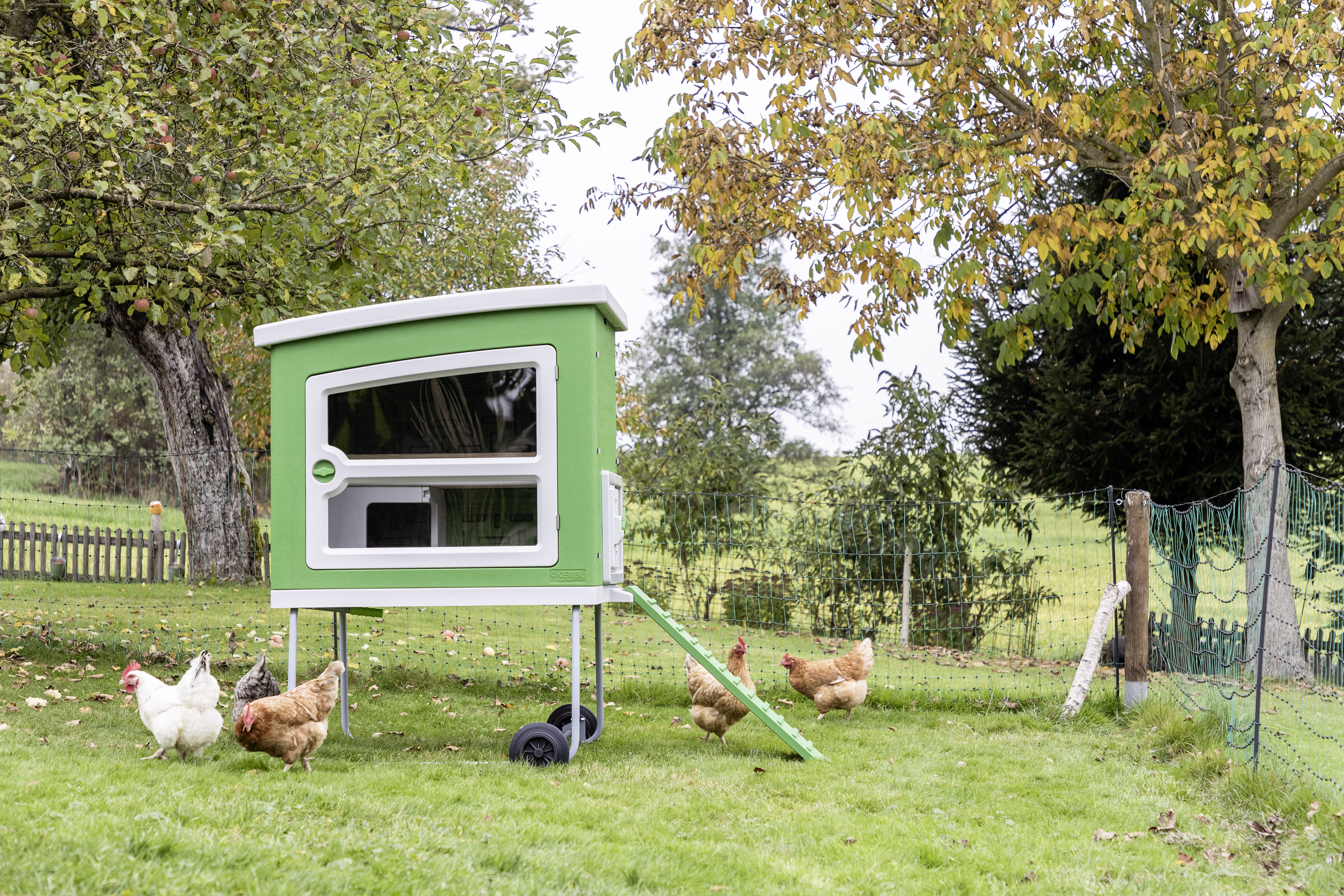 Kerbl  MobileCoop - Kippenhok - 4 tot 6 kippen - Groen - M