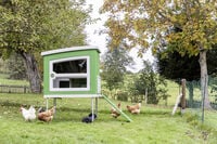 Kerbl  MobileCoop - Kippenhok - 4 tot 6 kippen - Groen - M