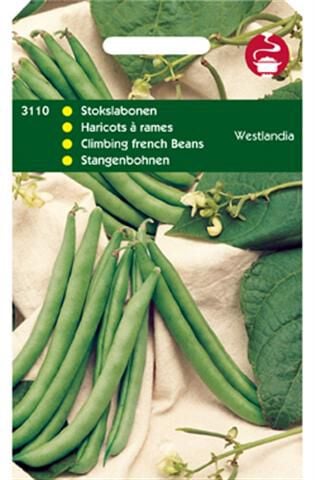 Hortitops Stokslabonen Phaseolus Vulgaris L. Westlandse Dubbele Z.Dr. - Groentezaden