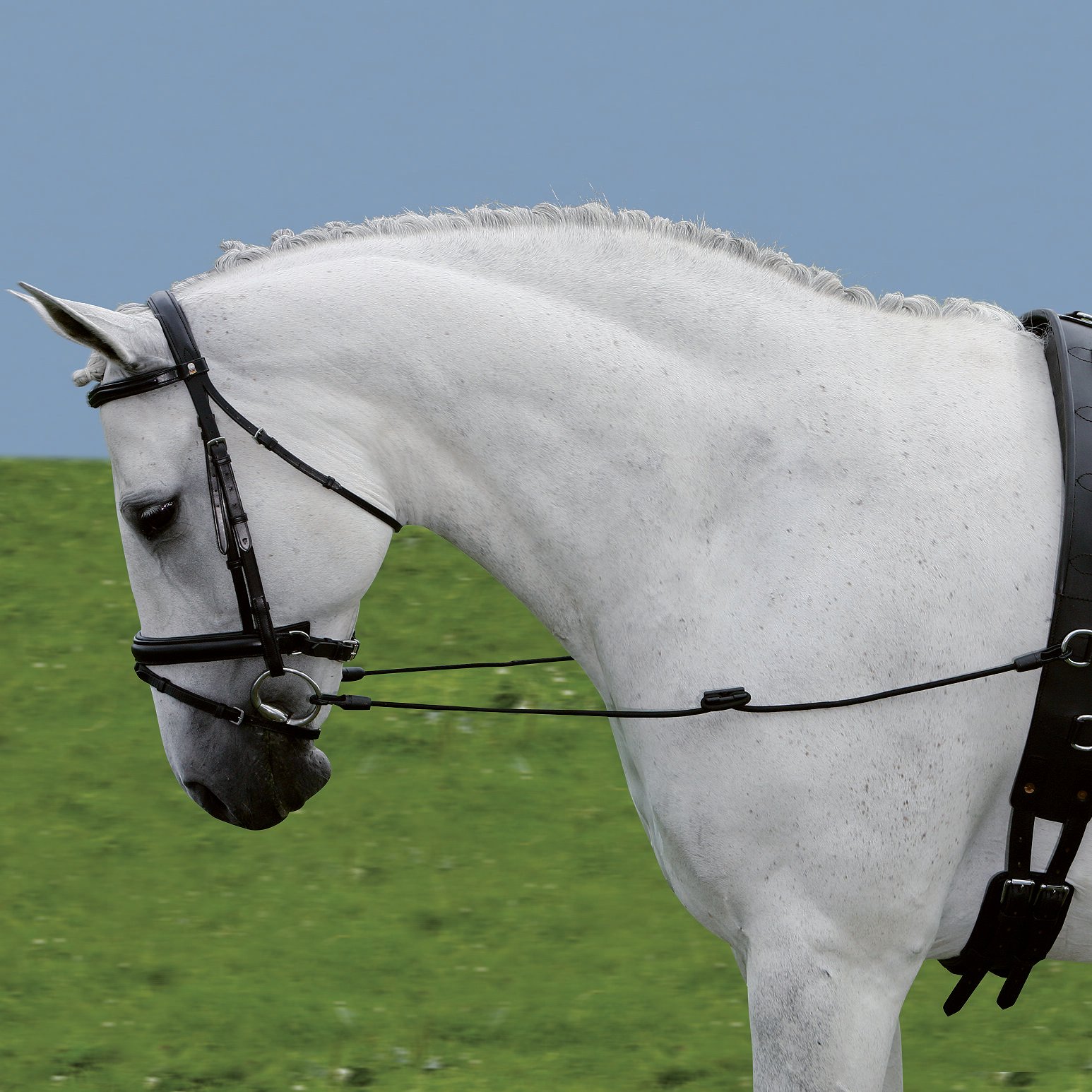 Waldhausen Bijzetteugel - Elastisch