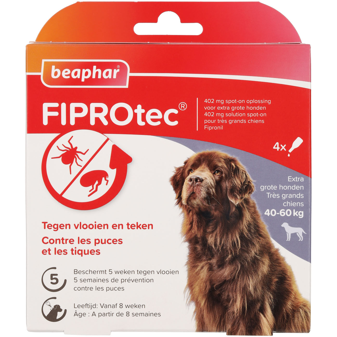 Beaphar Fiprotec Pipet - Anti Vlooien en teken - Hond - 4 Stuks - XL Beaphar Fiprotec Pipet - Anti Vlooien en teken - Hond - 4 Stuks - XL