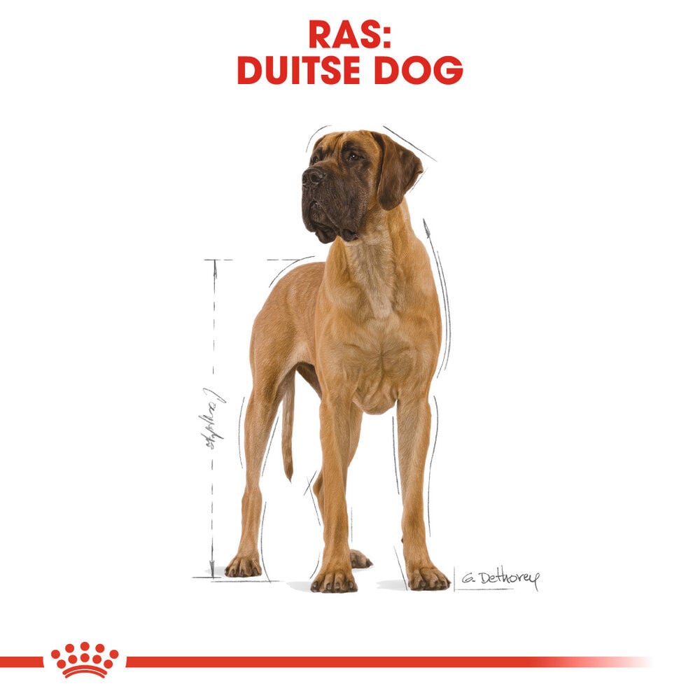 Royal Canin Great Dane Adult - Hondenvoer - 12 Kilogram - gevogelte