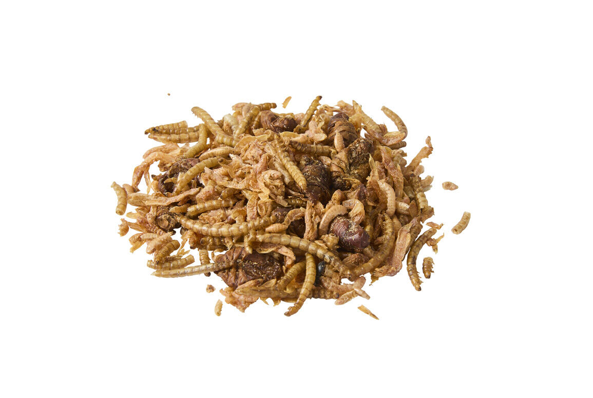 Welkoop Energiemix - Vijvervissenvoer - 2.5 Liter