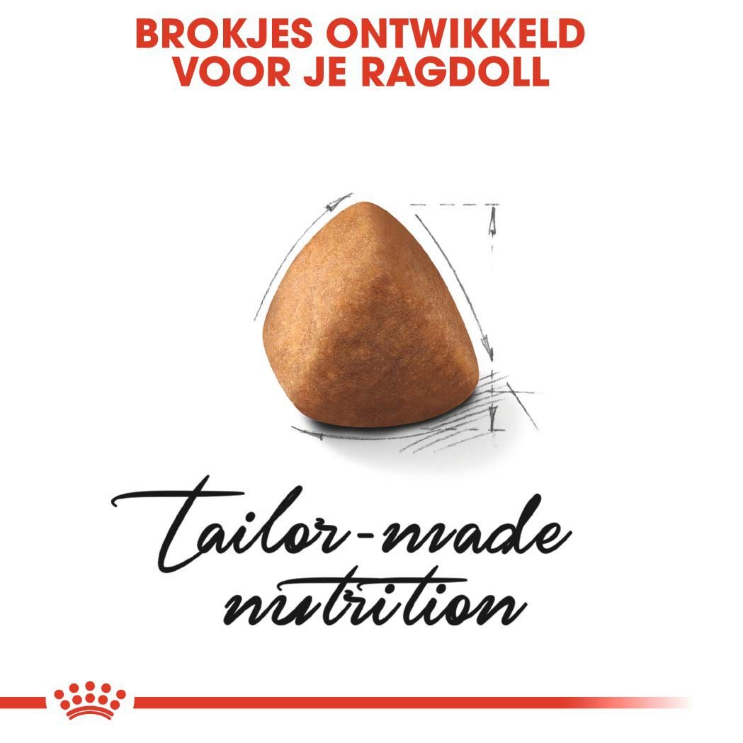 Royal Canin Ragdoll Adult - Kattenvoer - 10 Kilogram - Gevogelte