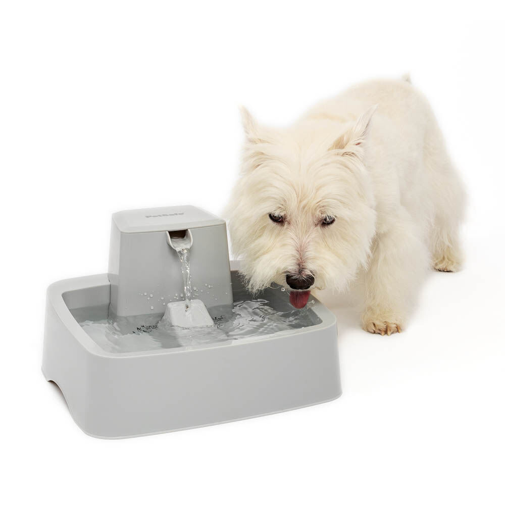 Petsafe Drinkwell - Drinkfontein - 3.7 Liter - Grijs