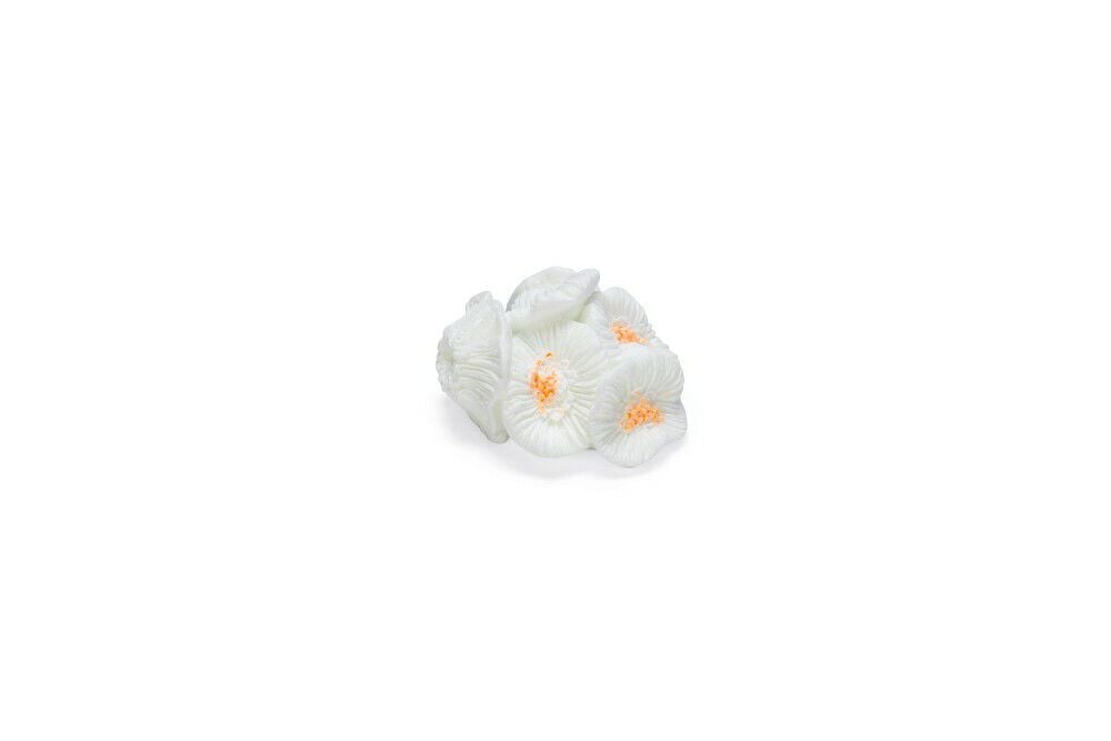Beeztees Koraal - Aquarium Ornament - 4 Stuks - Assorti