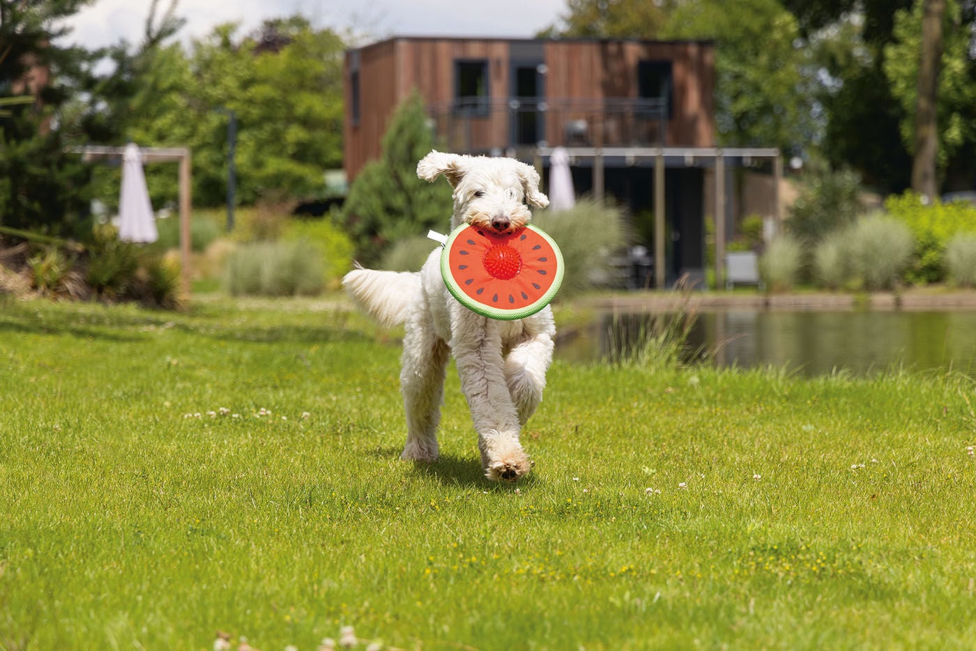 Beeztees Meloen Spikie - Waterspeelgoed Hond - Rood - 8x8x25 cm