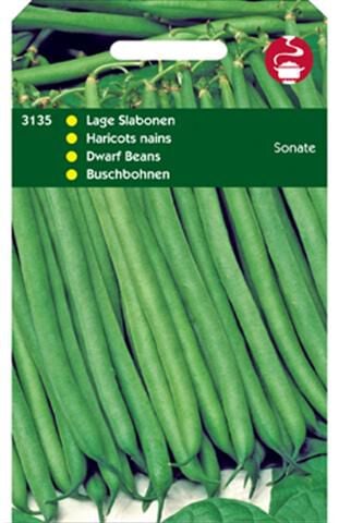 Hortitops Stamslabonen Phaseolus vulgaris Sonate - Groentezaden