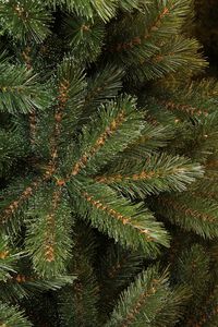Triumph Tree Forest Frosted Pine - Kunstkerstboom - Groen/frosted - 0 - 260 cm