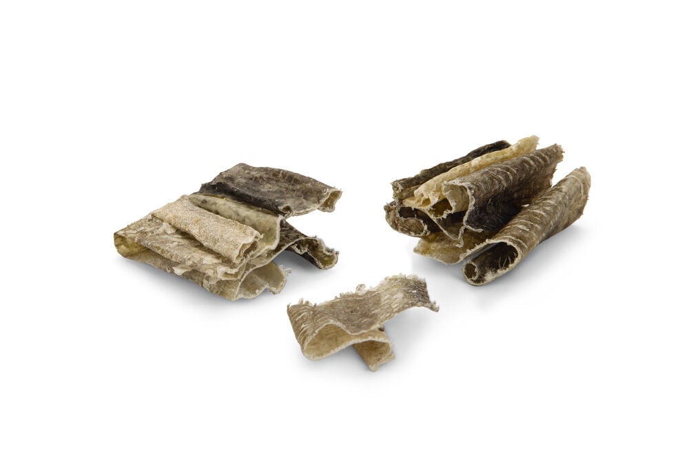 Beeztees Kabeljauw Bites- Hondensnack - 75 Gram