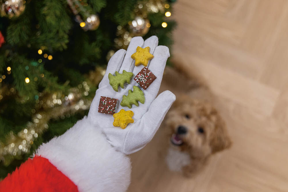 Beeztees mix - Kerstkoekjes - doos - 32 Stuks