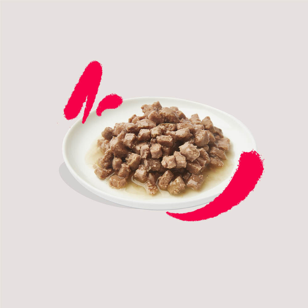 Edgard & Cooper Senior Stukjes in saus - Kattenvoer - 85 Gram - kalkoen, kip