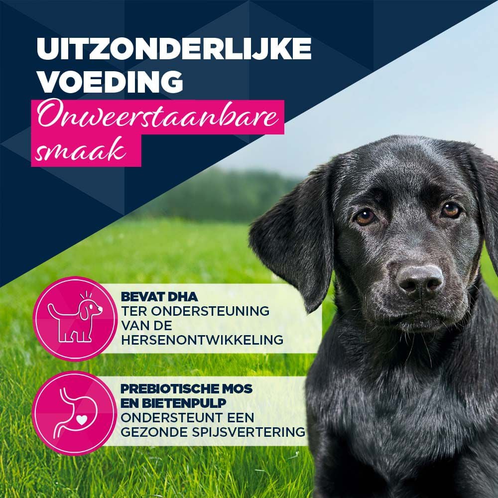 Eukanuba Puppy Paté  - Hondenvoer - 400 Gram - kalkoen