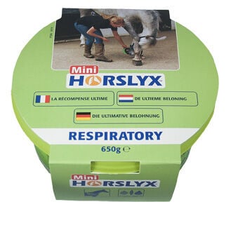 Horslyx Respiratory - Liksteen - 650 Gram