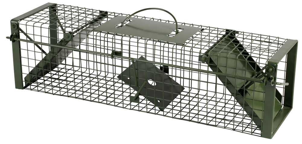 Vangkooi - Tegen ratten - 60x17x17 cm - 17x62x19 cm