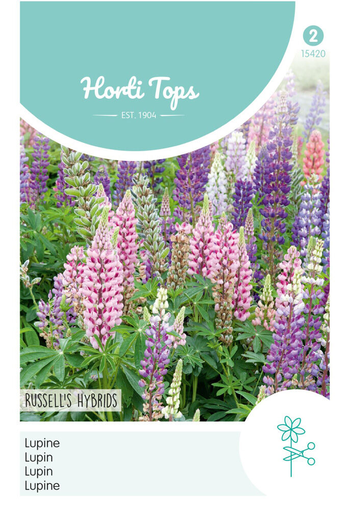 Hortitops Lupine Russells Hybrids - Bloemzaden