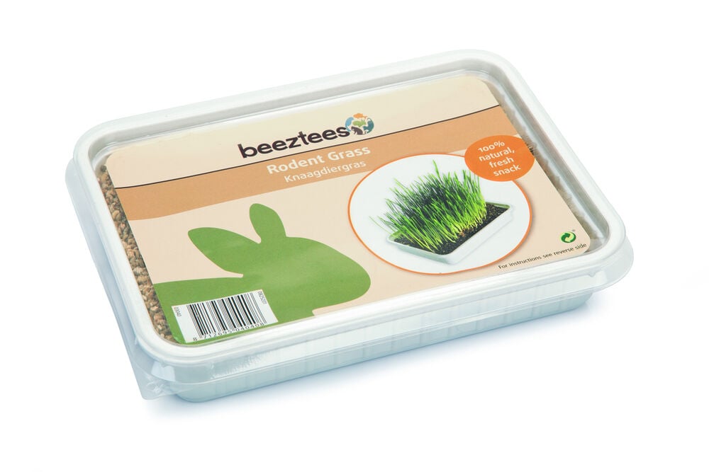 Beeztees Knaagdiergras in Box - 130 Gram