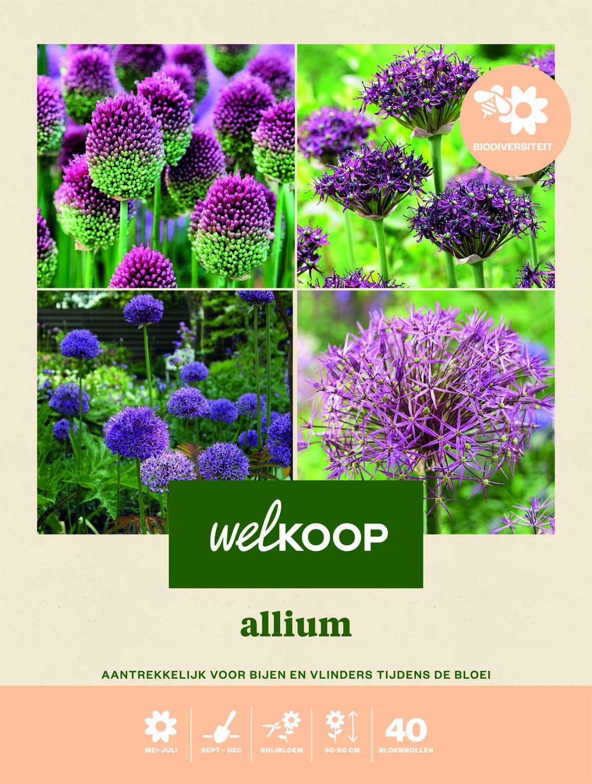 Welkoop Allium Biodiversiteit - Bloembollen Welkoop Allium Biodiversiteit - Bloembollen