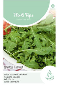 Hortitops Rucola Diplotaxis tenuifolia Wilde Selvatica (Diplotaxis Erucoides) - Sla