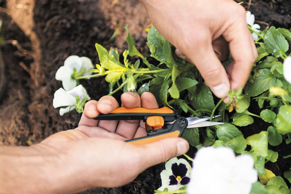 Fiskars Solid Snip SP13 Kruiden - Snoeischaar