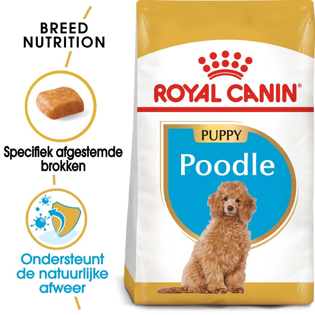 Royal Canin Poedel Junior - Hondenvoer - 3 Kilogram - gevogelte