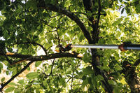 Fiskars UPX82  - Snoei-giraffe - Reikwijdte ca. 3,5 Meter