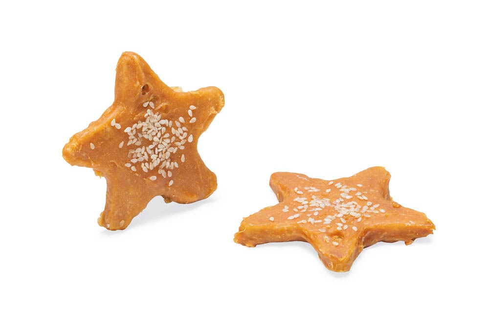 Beeztees Kerstster Koekje - Hondensnack - 35 Gram - Kip
