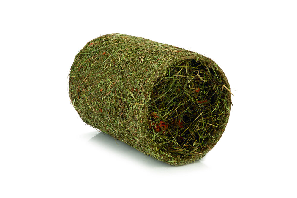 Beeztees - Hooitunnel - L Beeztees - Hooitunnel - L