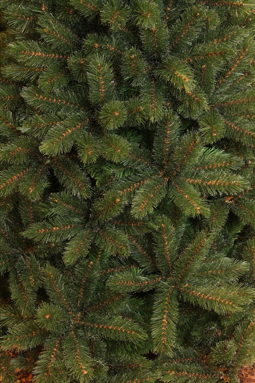 Triumph Tree Forest Frosted Pine - Kunstkerstboom - Groen/frosted - 0 - 260 cm