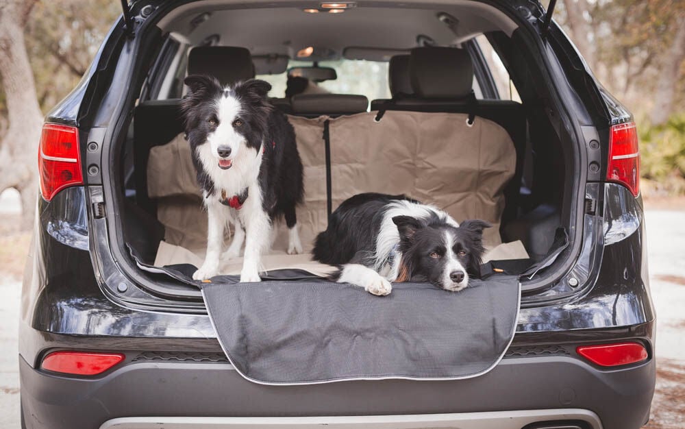 Kurgo Cargo Cape Kofferbak - Beschermhoes - beige