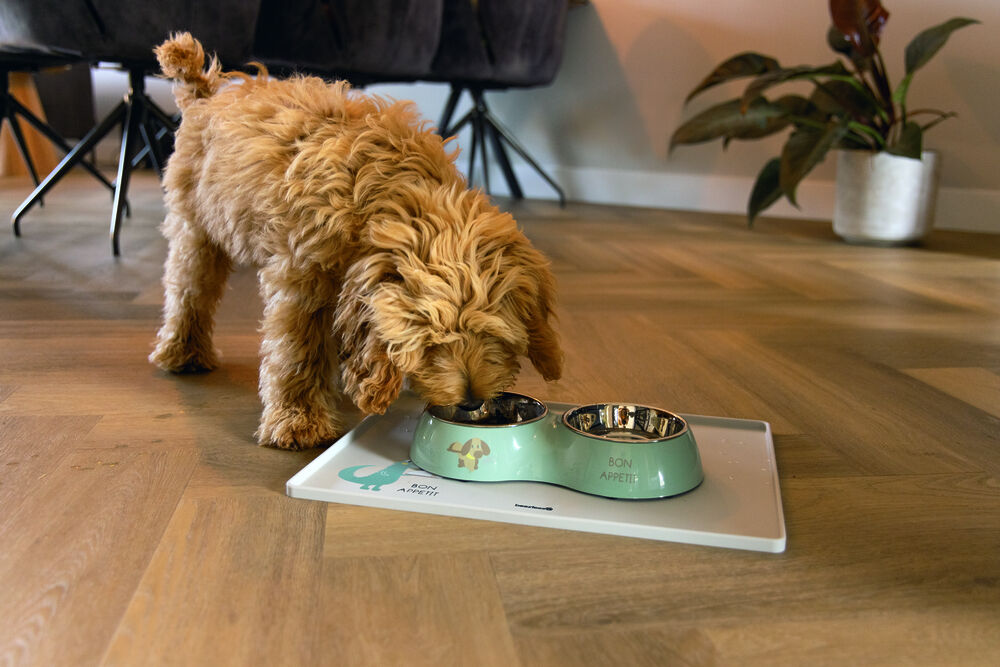 Beeztees Binky  Dinerset - Puppy Voer & Drinkbak - Roze - 34 cm