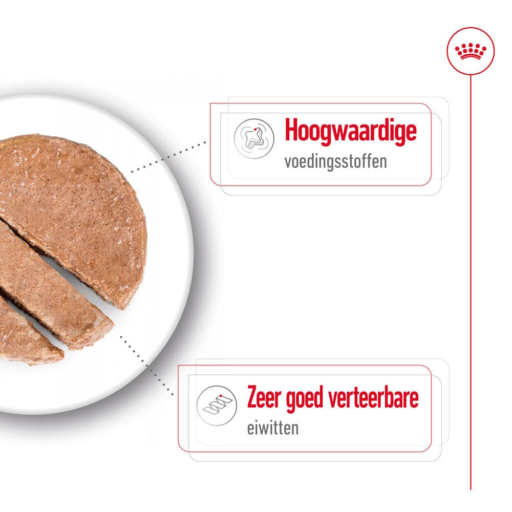 Royal Canin SHN Medium Puppy - Hondenvoer - 0.41 Kilogram - gevogelte