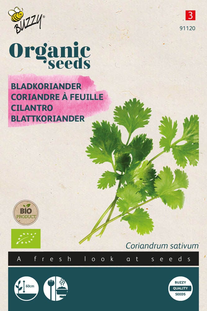 Buzzy Koriander Coriandrum sativum Koriander - Kruidenzaden Buzzy Koriander Coriandrum sativum Koriander - Kruidenzaden