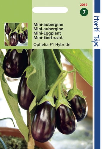 Hortitops Aubergine Solanum Melongena - Groentezaden