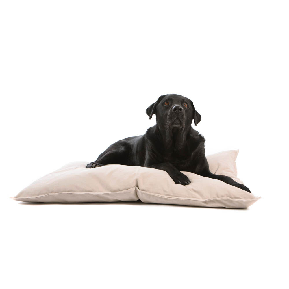 Lex & Max Tivoli - Hondenkussen - Zand - 70x100x14 cm - L